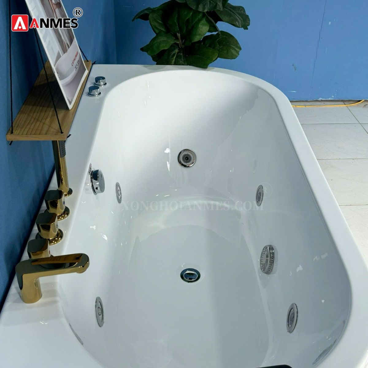 Bồn tắm massage AY4816M-E